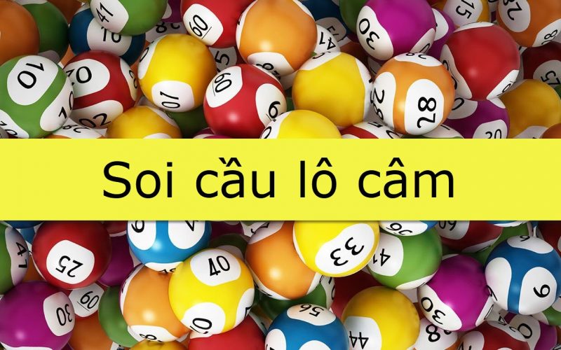 soi-cau-lo-cam-800x500-1